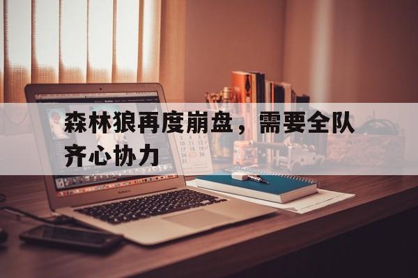 开云体育APP下载-森林狼再度崩盘，需要全队齐心协力的简单介绍